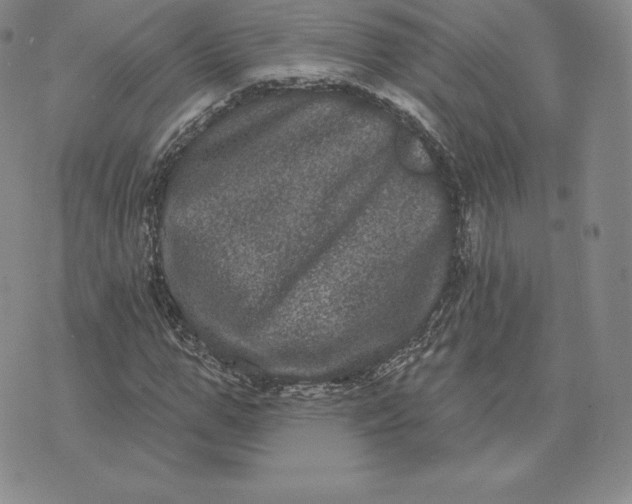 X0000074010967200609111619