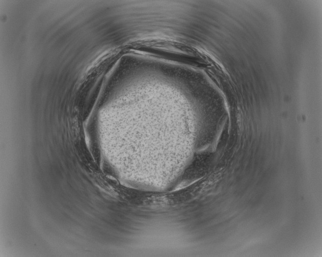 X0000074010968200609111619