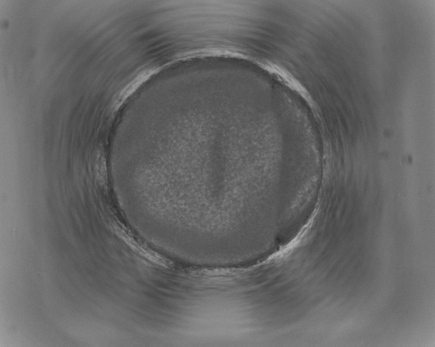 X0000074010969200609111619