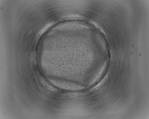 X0000074010970200609111619