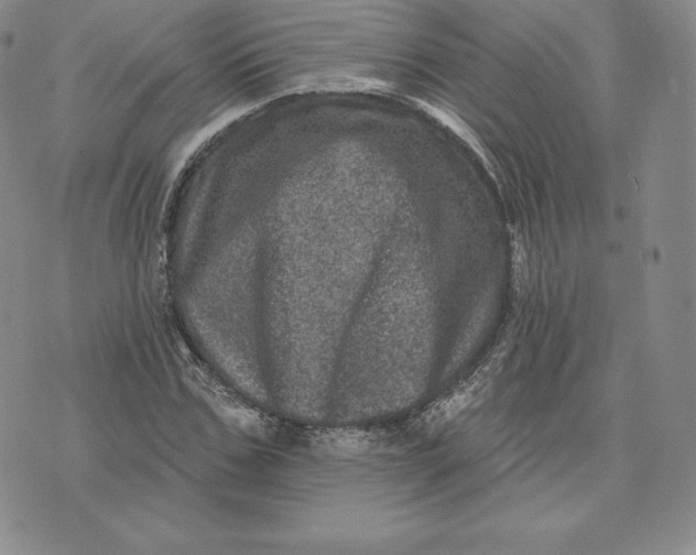 X0000074010971200609111619