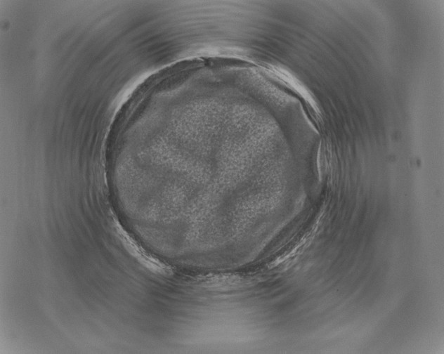 X0000074010972200609111619