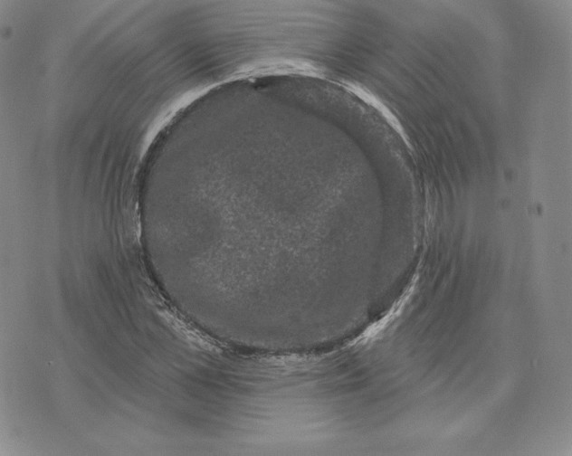 X0000074010973200609111619