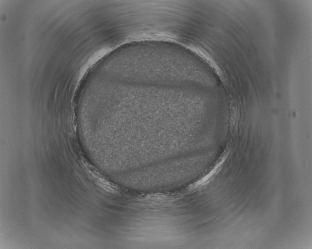 X0000074010974200609111619