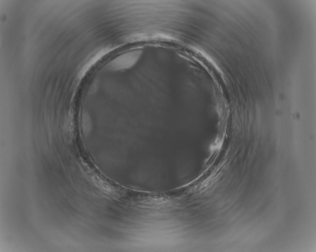 X0000074010975200609111619