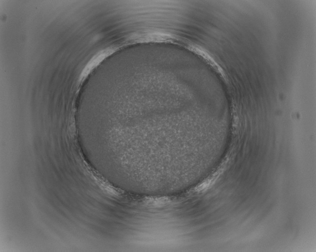 X0000074010978200609111619