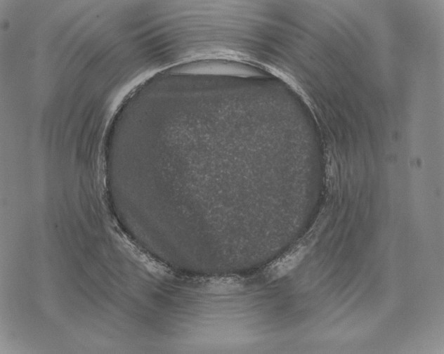 X0000074010979200609111619