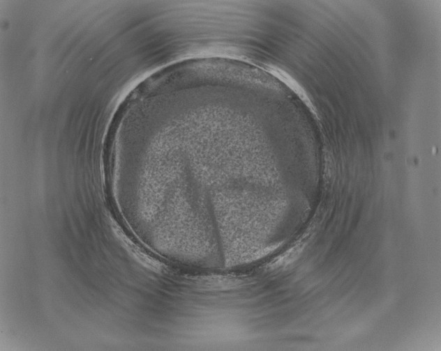 X0000074010980200609111619