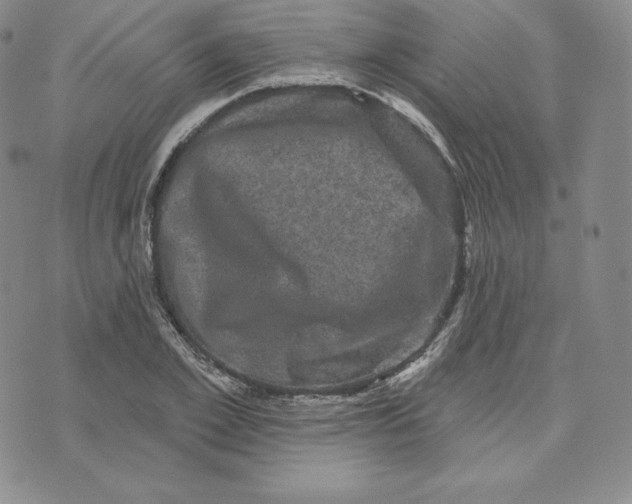 X0000074010981200609111619