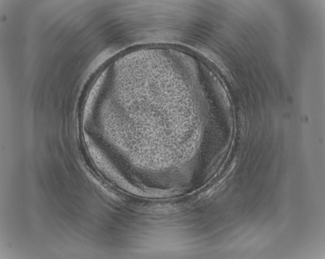 X0000074010982200609111619