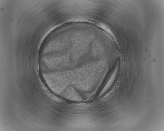 X0000074010984200609111619