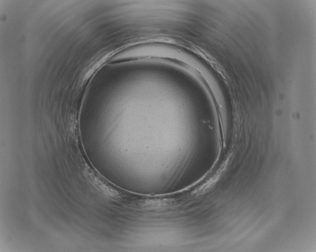 X0000074010985200609111619