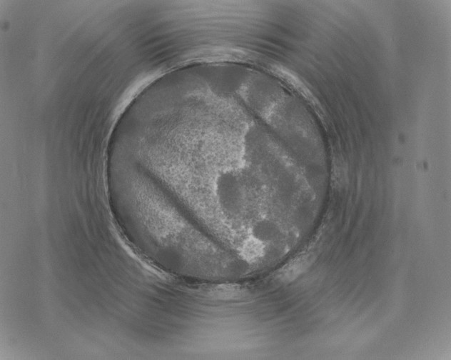 X0000074010986200609111619