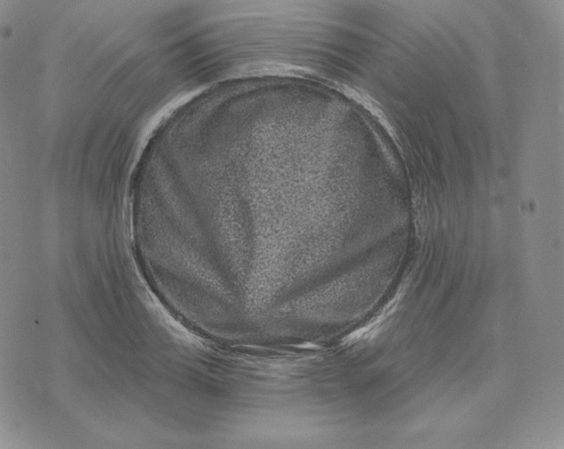 X0000074010987200609111619