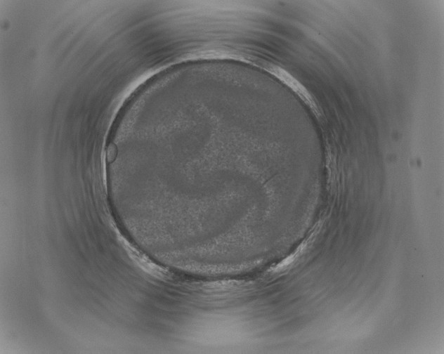 X0000074010988200609111619