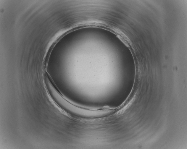 X0000074010989200609111619