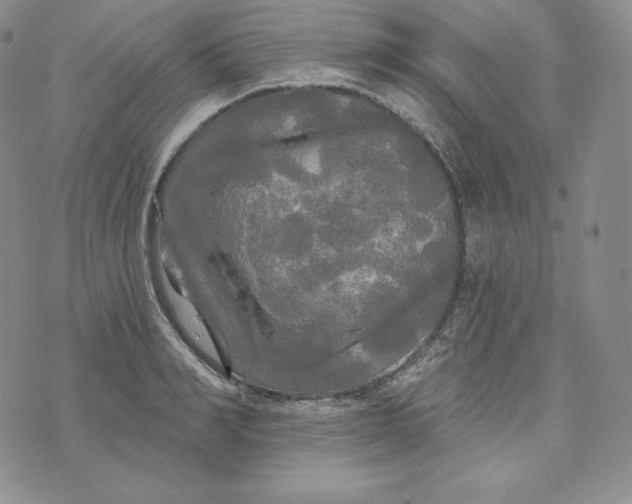 X0000074010990200609111619