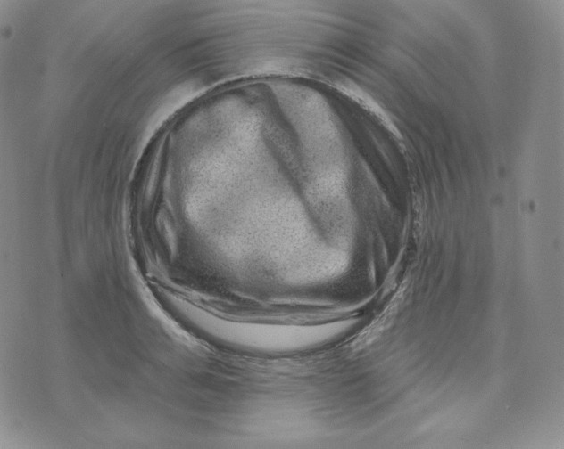 X0000074010991200609111619