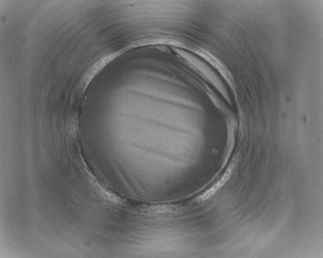 X0000074010993200609111619