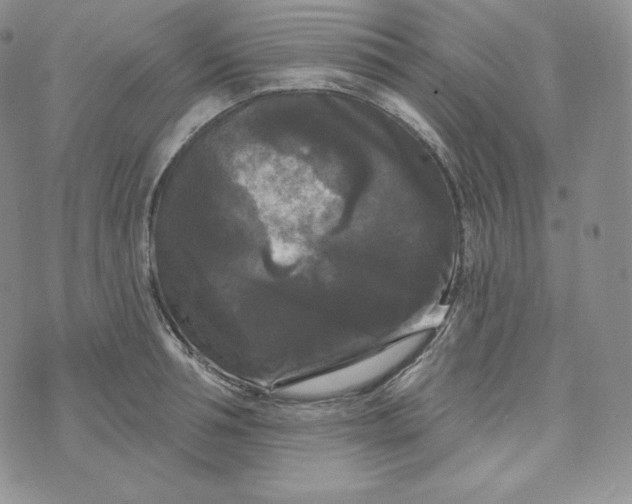 X0000074010994200609111619