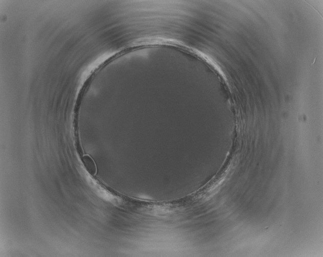 X0000074010995200609111619