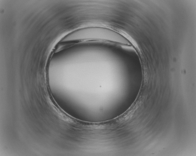 X0000074010996200609111619