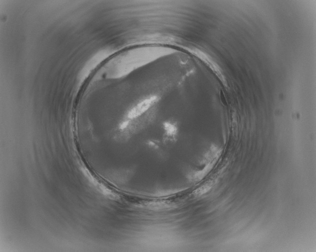 X0000074010998200609111619