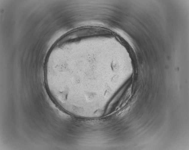 X0000074010999200609111619