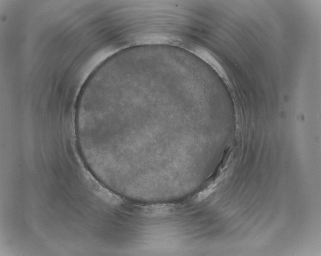 X0000074011000200609111619