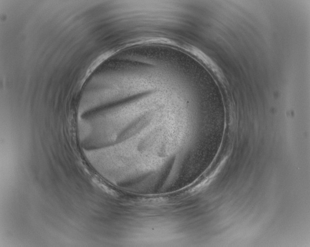 X0000074011001200609111619