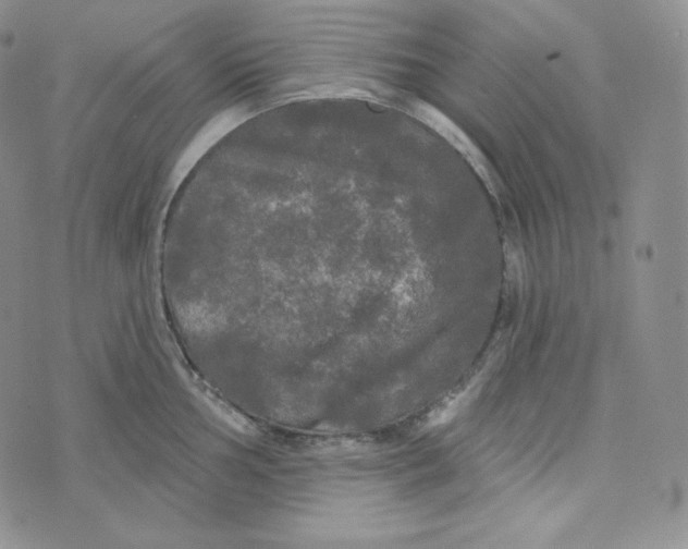 X0000074011002200609111619