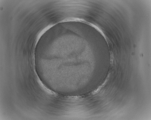 X0000074011003200609111619