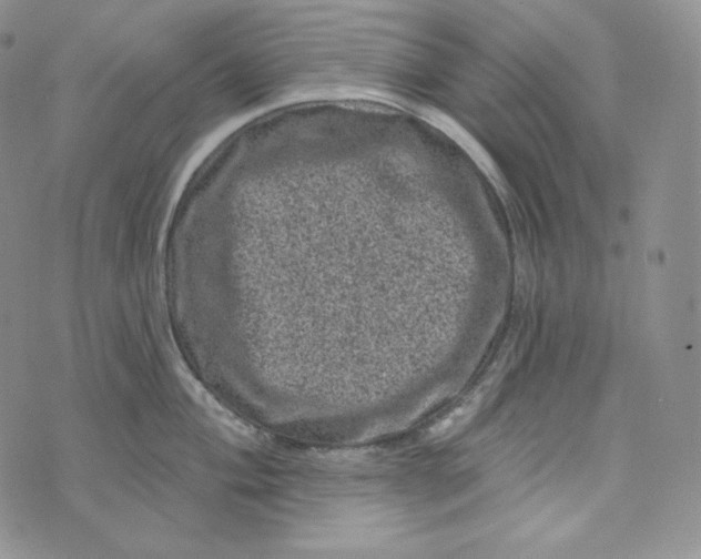 X0000074011004200609111619