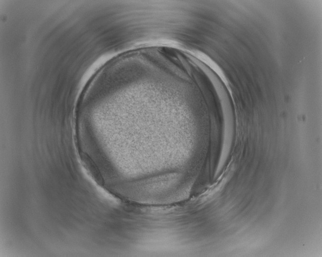 X0000074011005200609111619