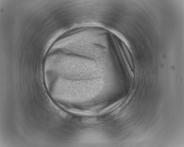 X0000074011006200609111619