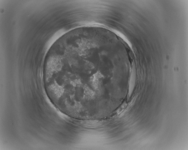 X0000074011007200609111619