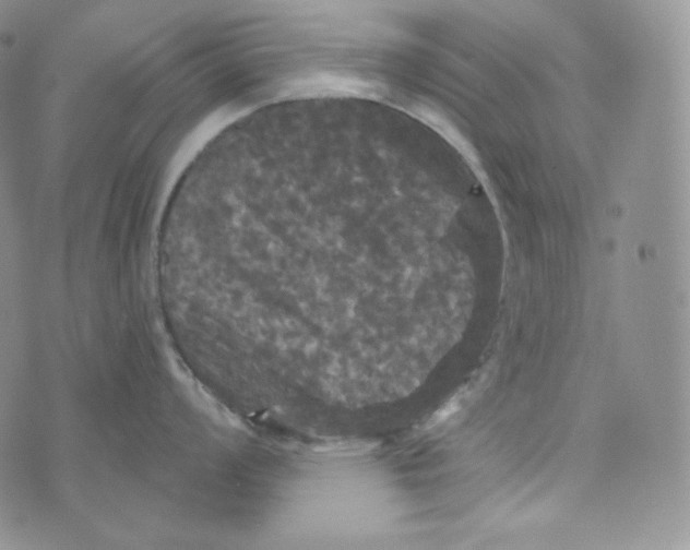 X0000074011008200609111619