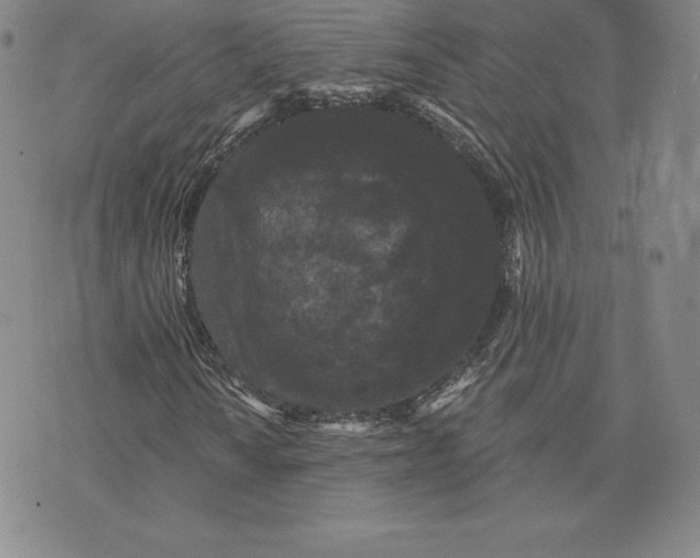 X0000074011010200609111618