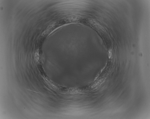 X0000074011011200609111618