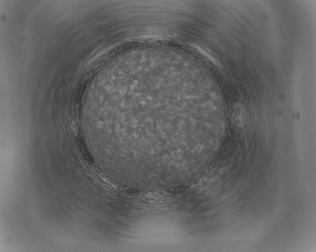 X0000074011015200609111618