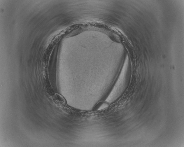 X0000074011016200609111618