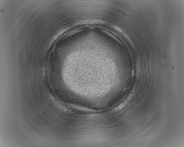 X0000074011017200609111618