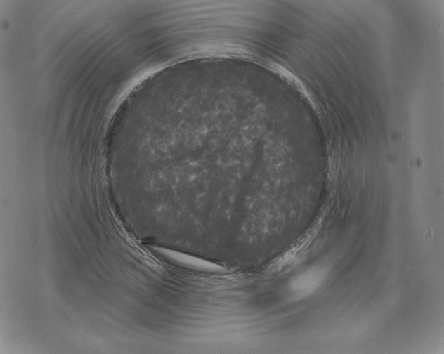 X0000074011019200609111618