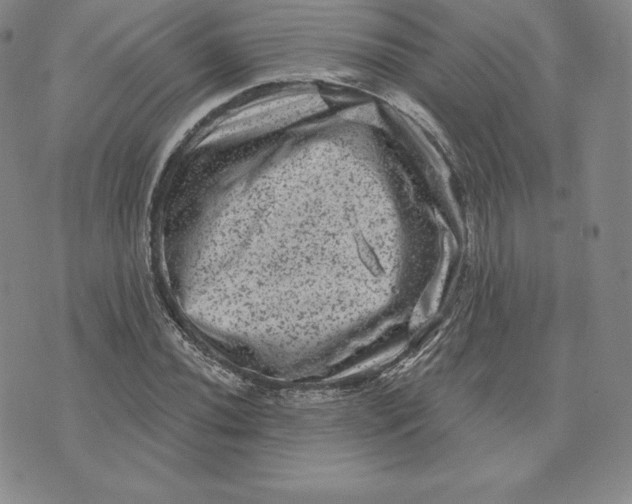 X0000074011020200609111618