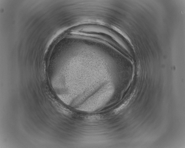 X0000074011021200609111618