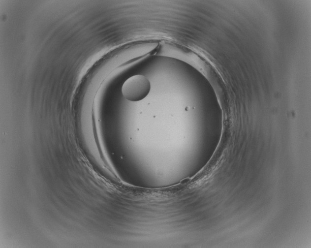 X0000074011022200609111618