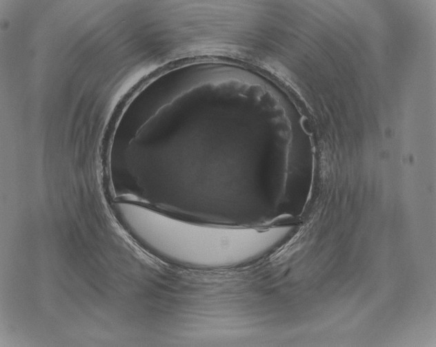 X0000074011024200609111618