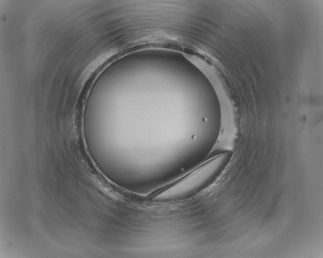 X0000074011026200609111618