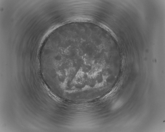 X0000074011027200609111618