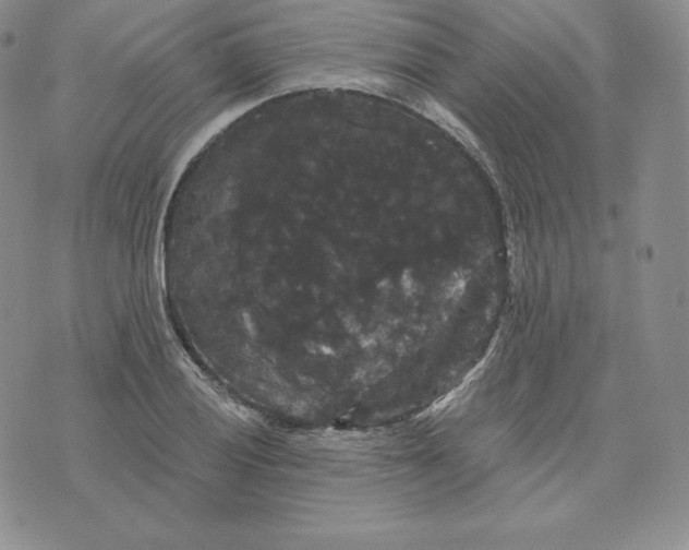 X0000074011028200609111618